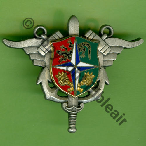 H789 SEA OPEX SFOR IFOR SALAMANDRE  JMM +Sigle BESSIN SALSON 2Attach PINS Dos lisse grenu leger Src.Y.GENTY 11Eur12.24 